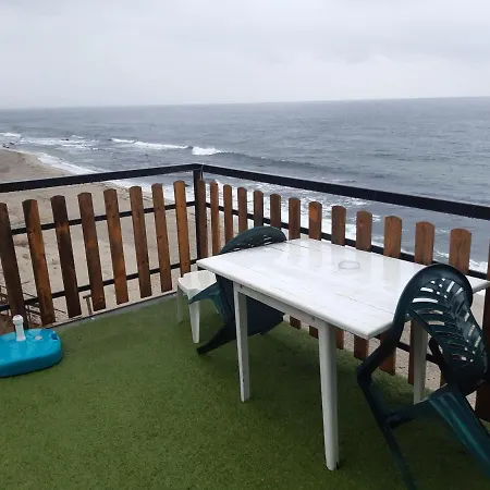 Séjour chez l'habitant Happy